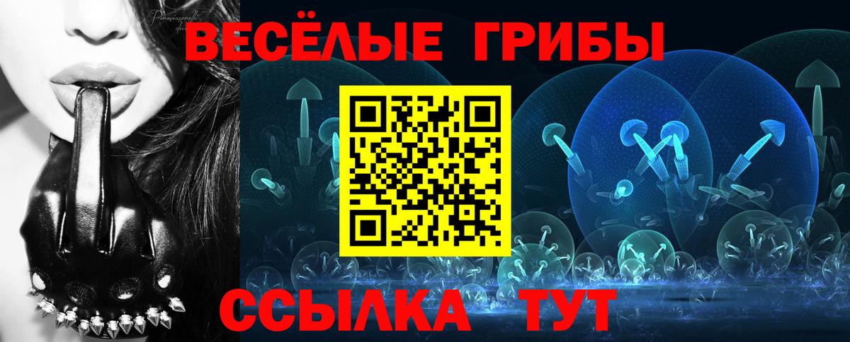 ГАШ Сыктывкар